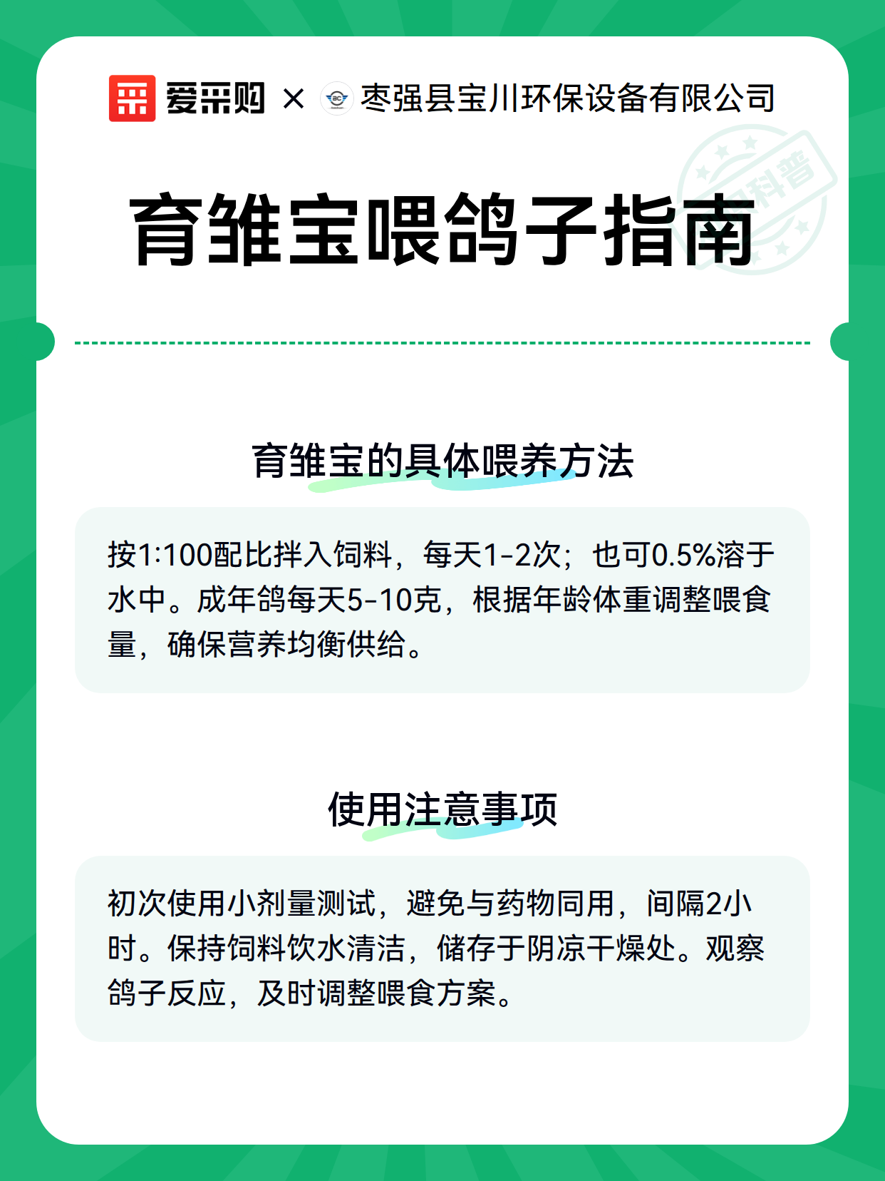 育雏宝喂鸽子指南（图2）