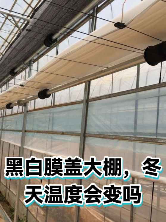 黑白膜盖大棚，冬天温度会变吗（图1）