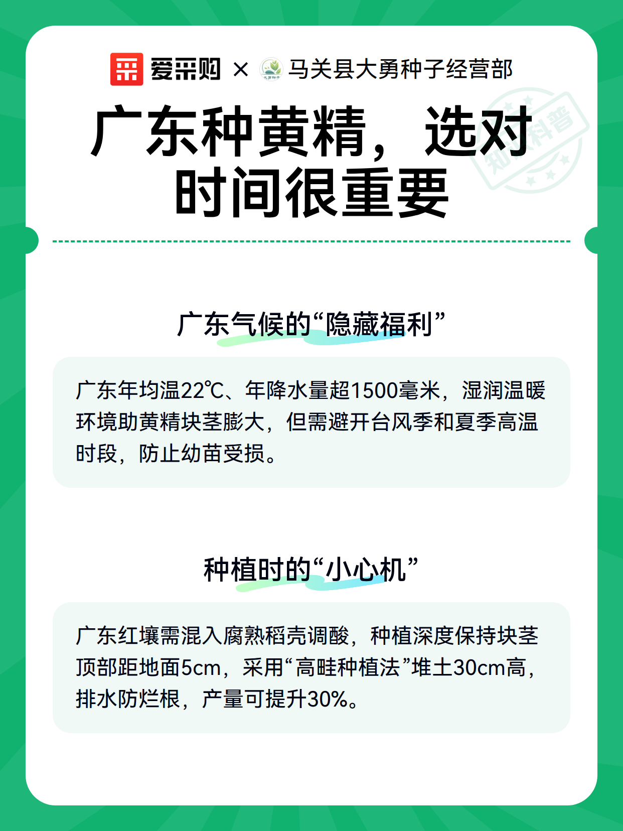 广东种黄精，选对时间很重要（图2）
