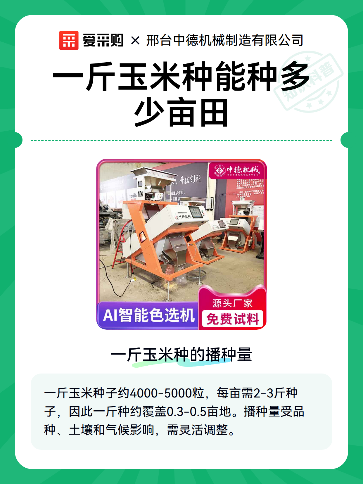 一斤玉米种能种多少亩田（图2）