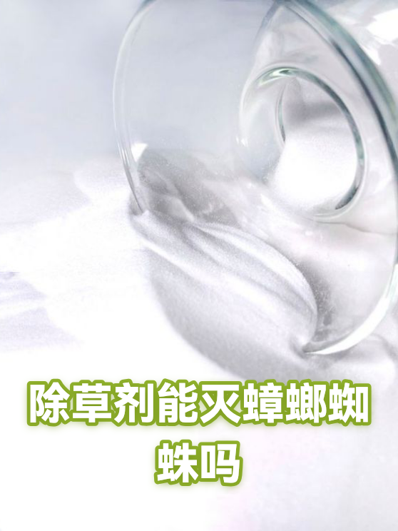 除草剂能灭蟑螂蜘蛛吗（图1）