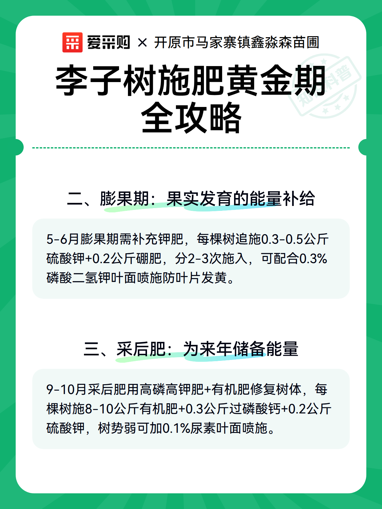 李子树施肥黄金期全攻略（图3）