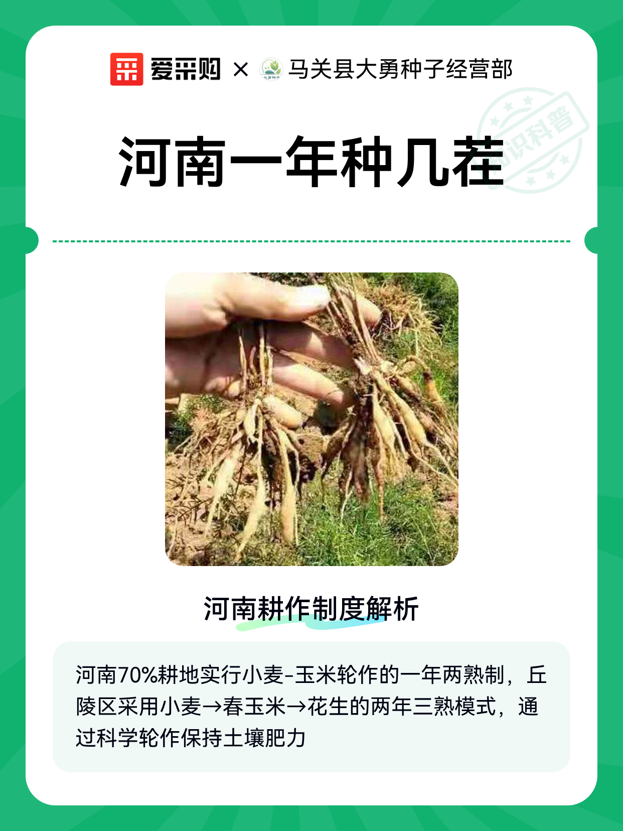 河南一年种几茬（图1）