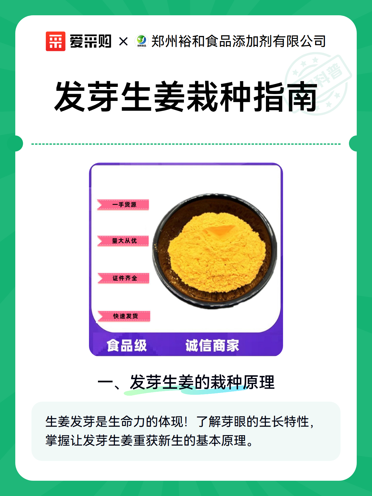 发芽生姜栽种指南（图2）