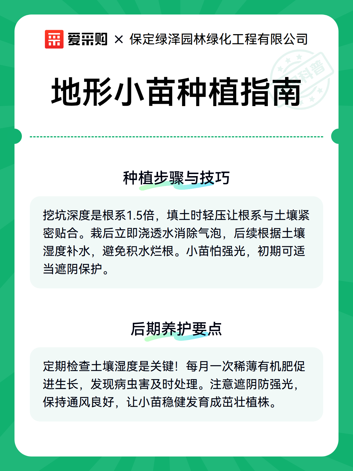 地形小苗种植指南（图3）