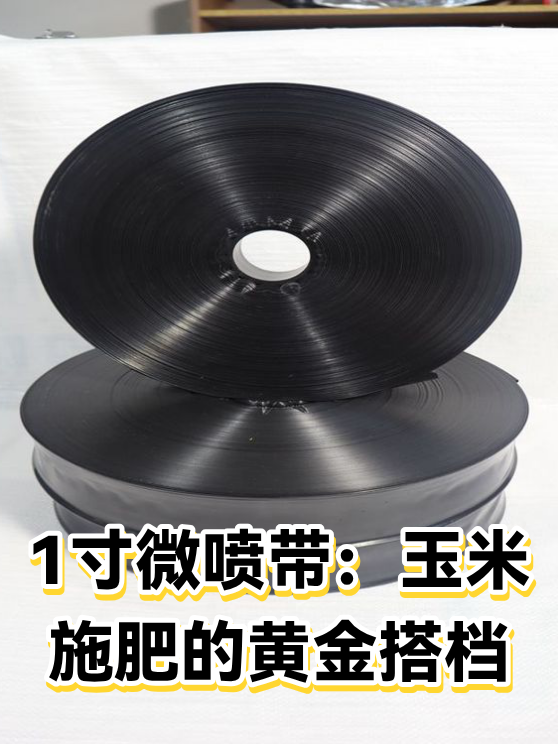 1寸微喷带：玉米施肥的黄金搭档（图1）