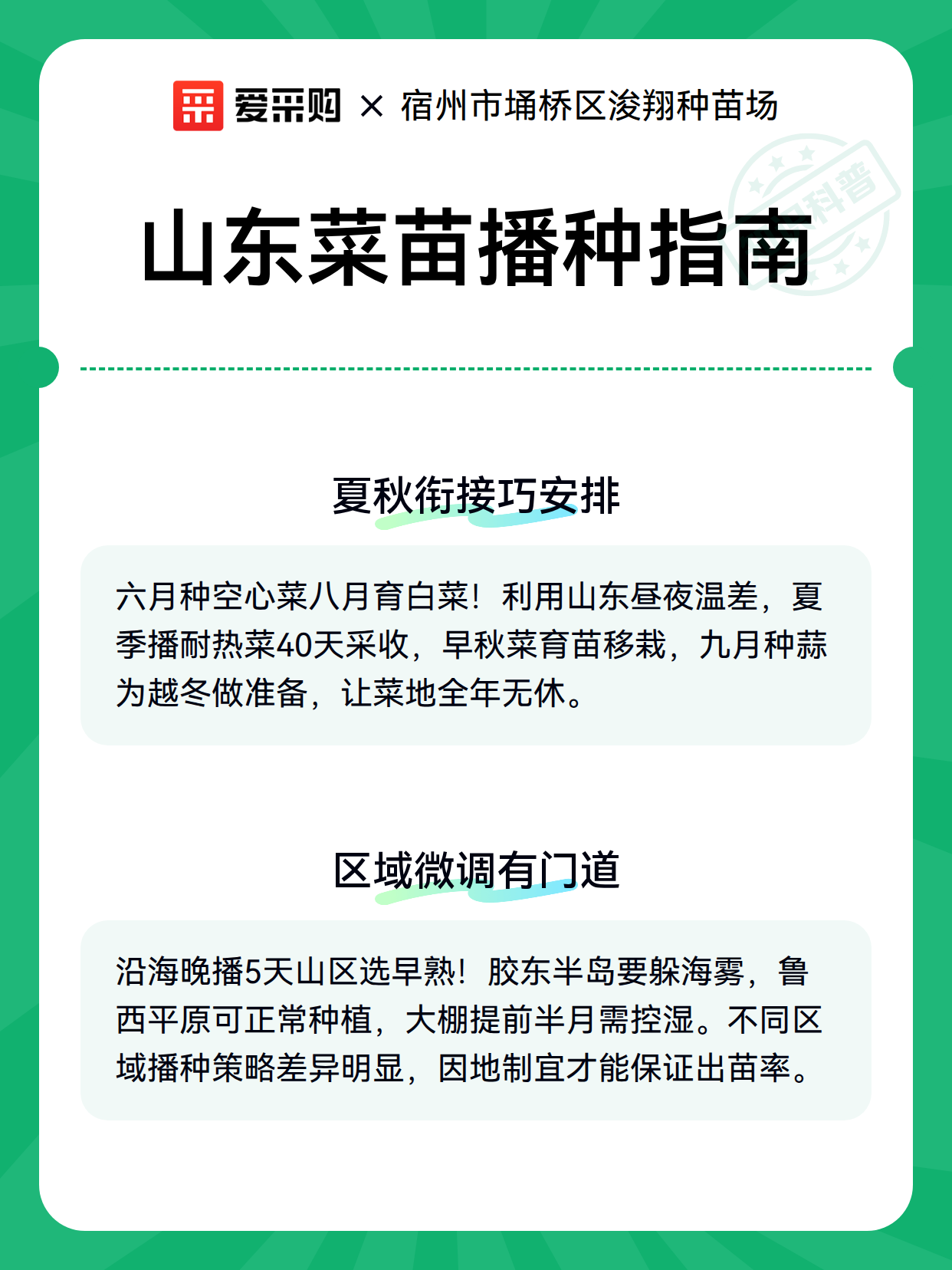 山东菜苗播种指南（图3）