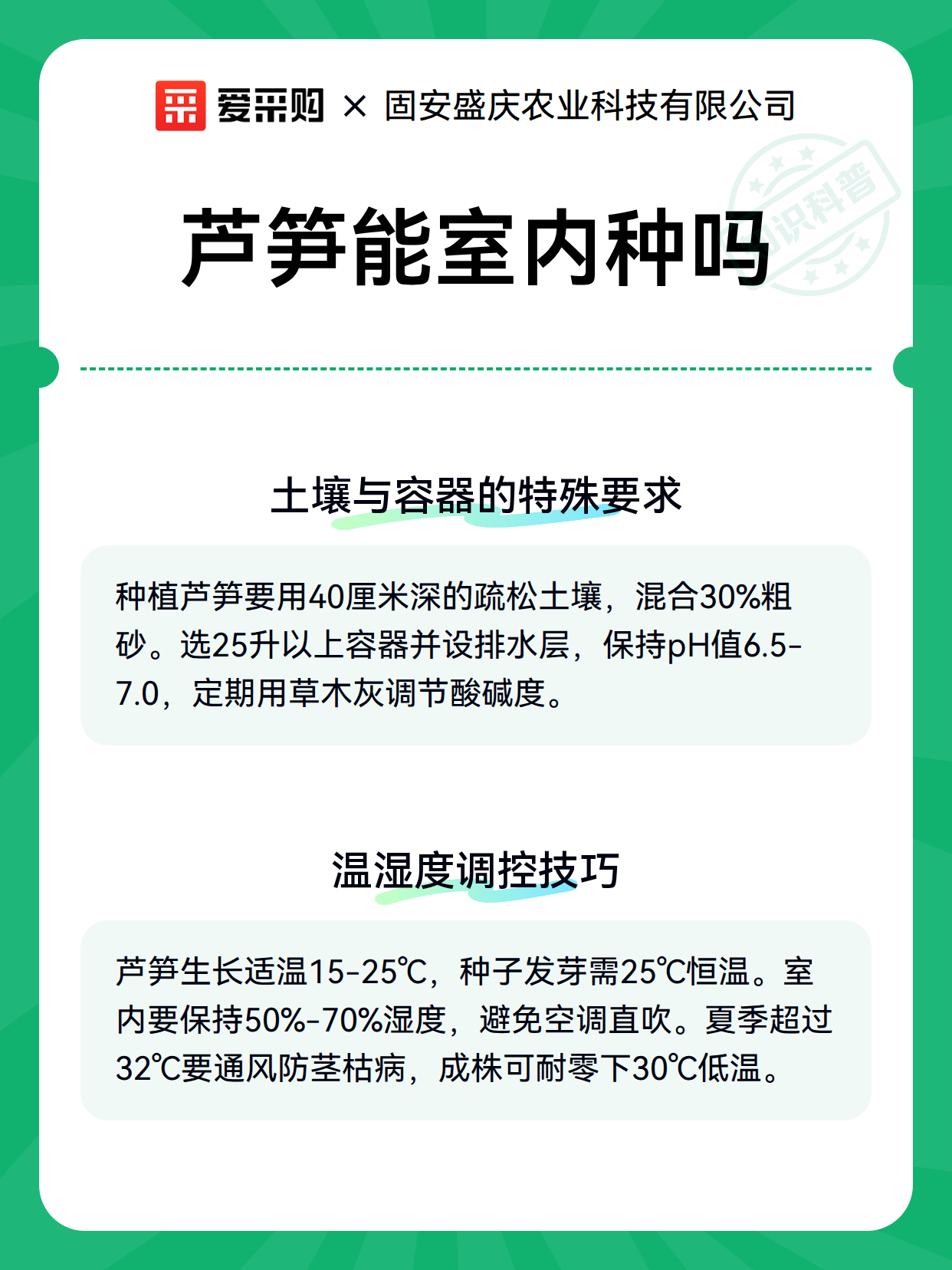 芦笋能室内种吗（图3）