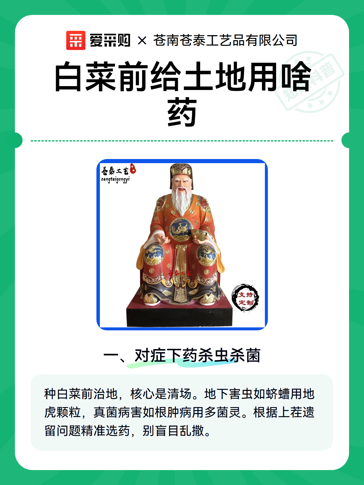 白菜前给土地用啥药（图1）