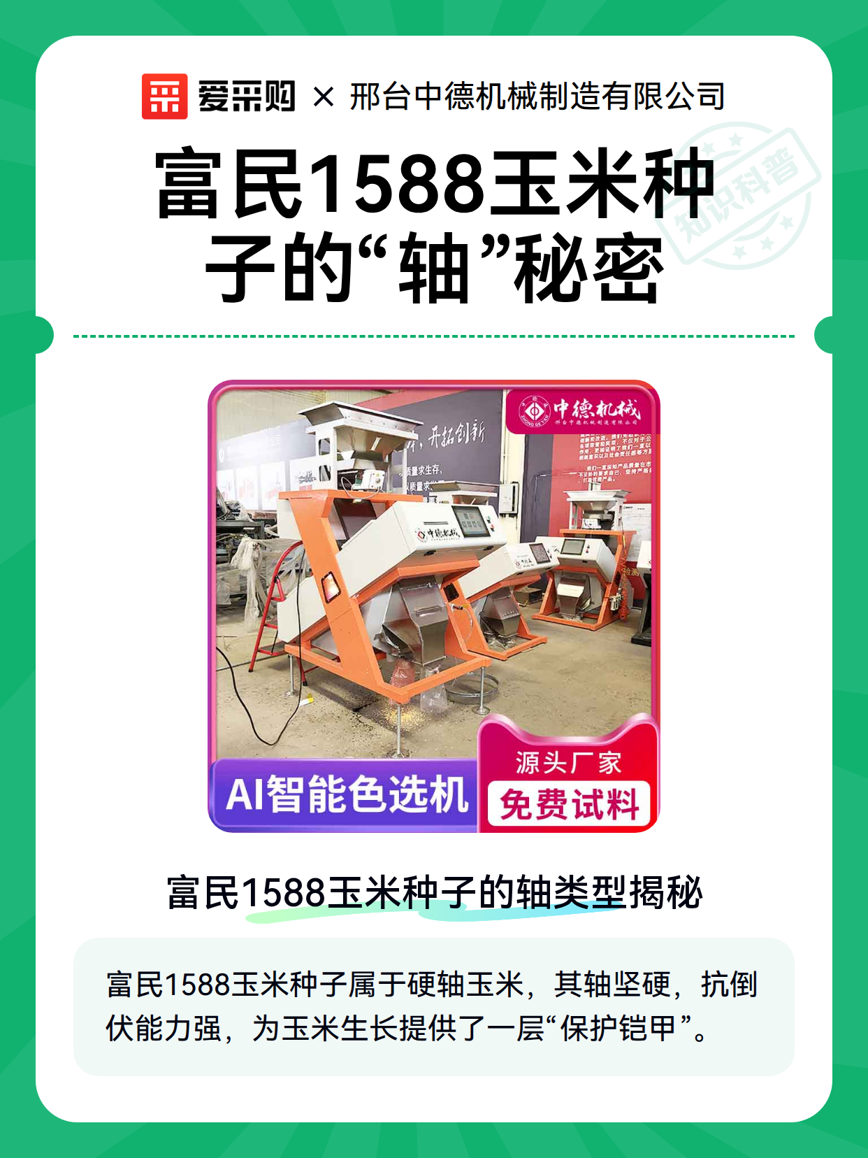富民1588玉米种子的“轴”秘密（图2）