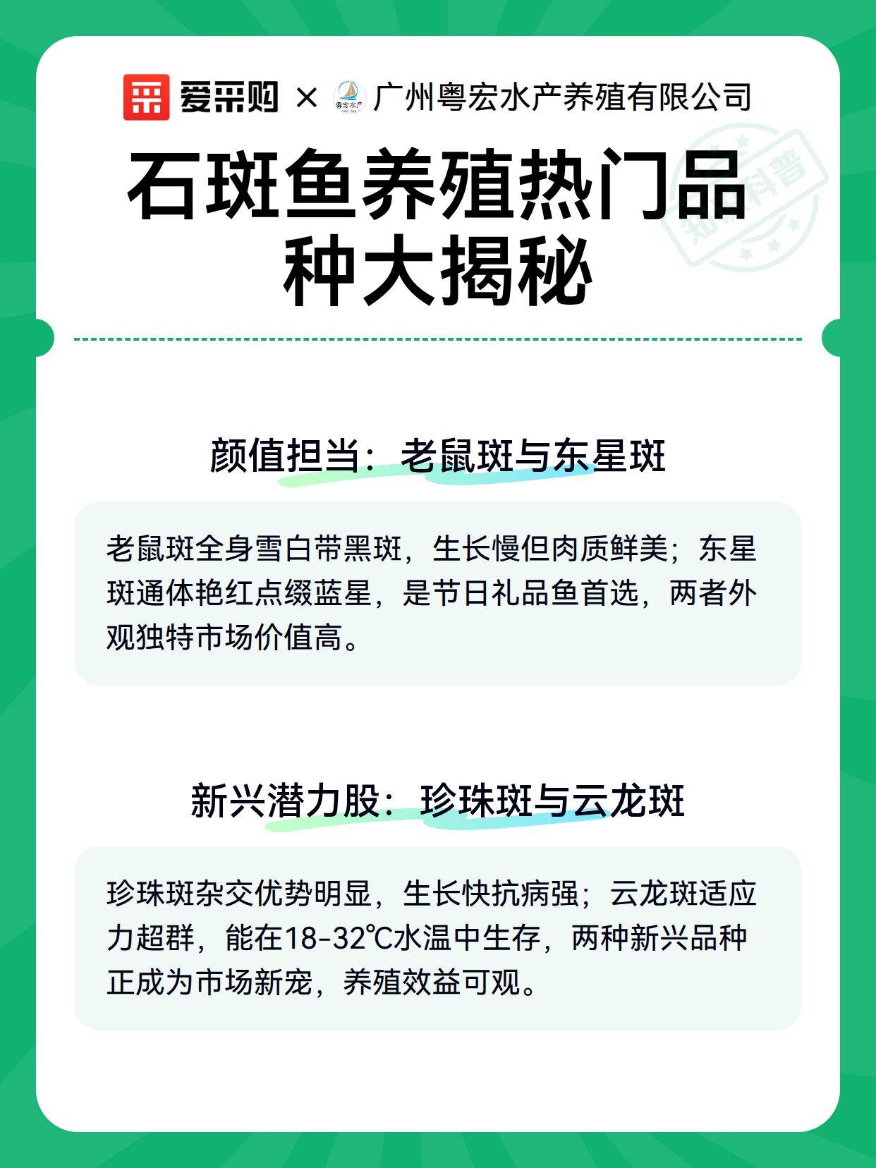 石斑鱼养殖热门品种大揭秘（图3）