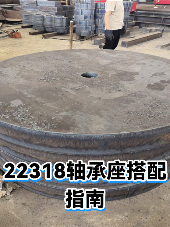22318轴承座搭配指南（图1）