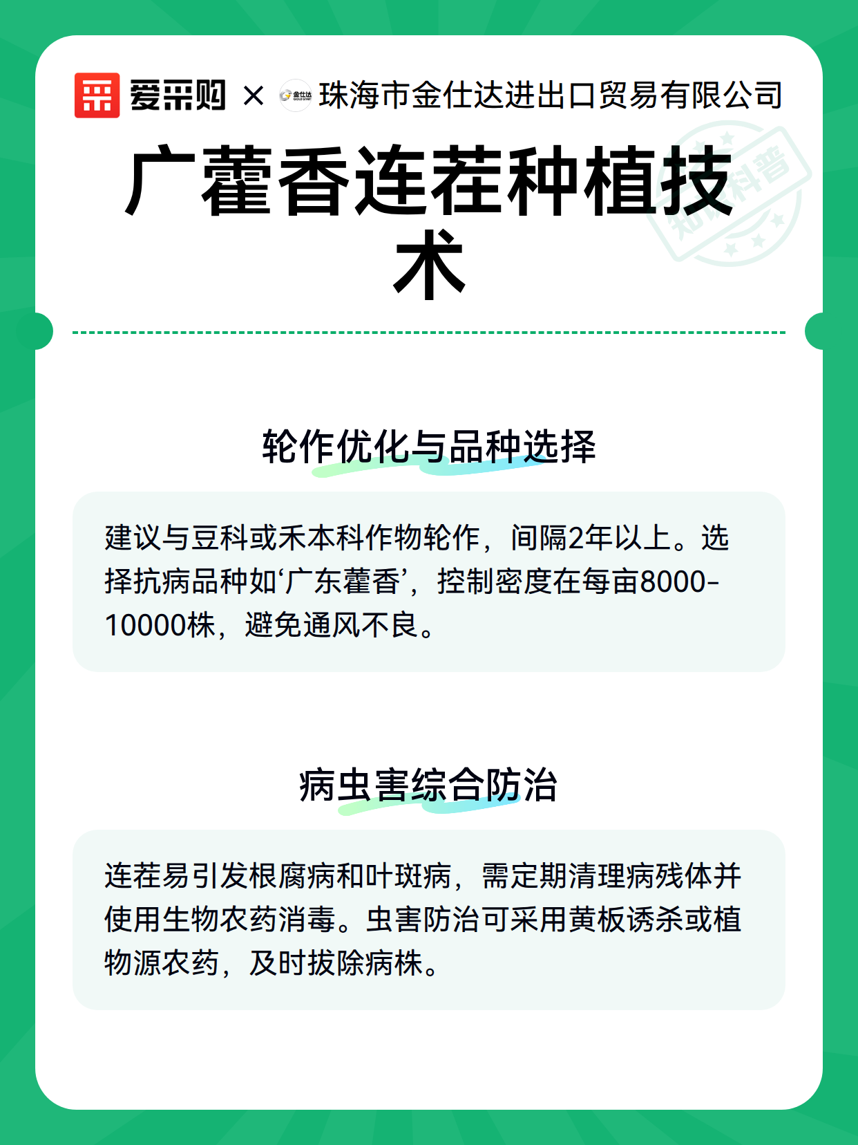 广藿香连茬种植技术（图3）