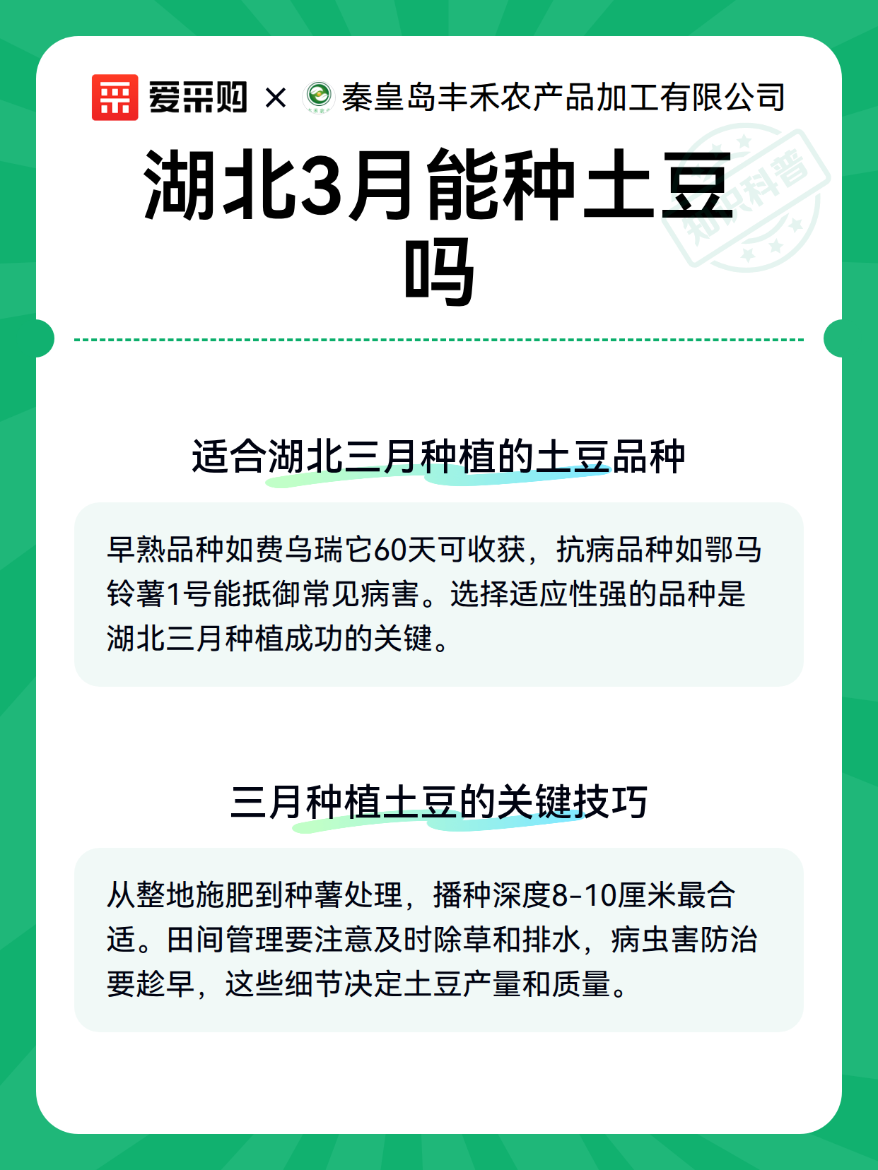 湖北3月能种土豆吗（图3）