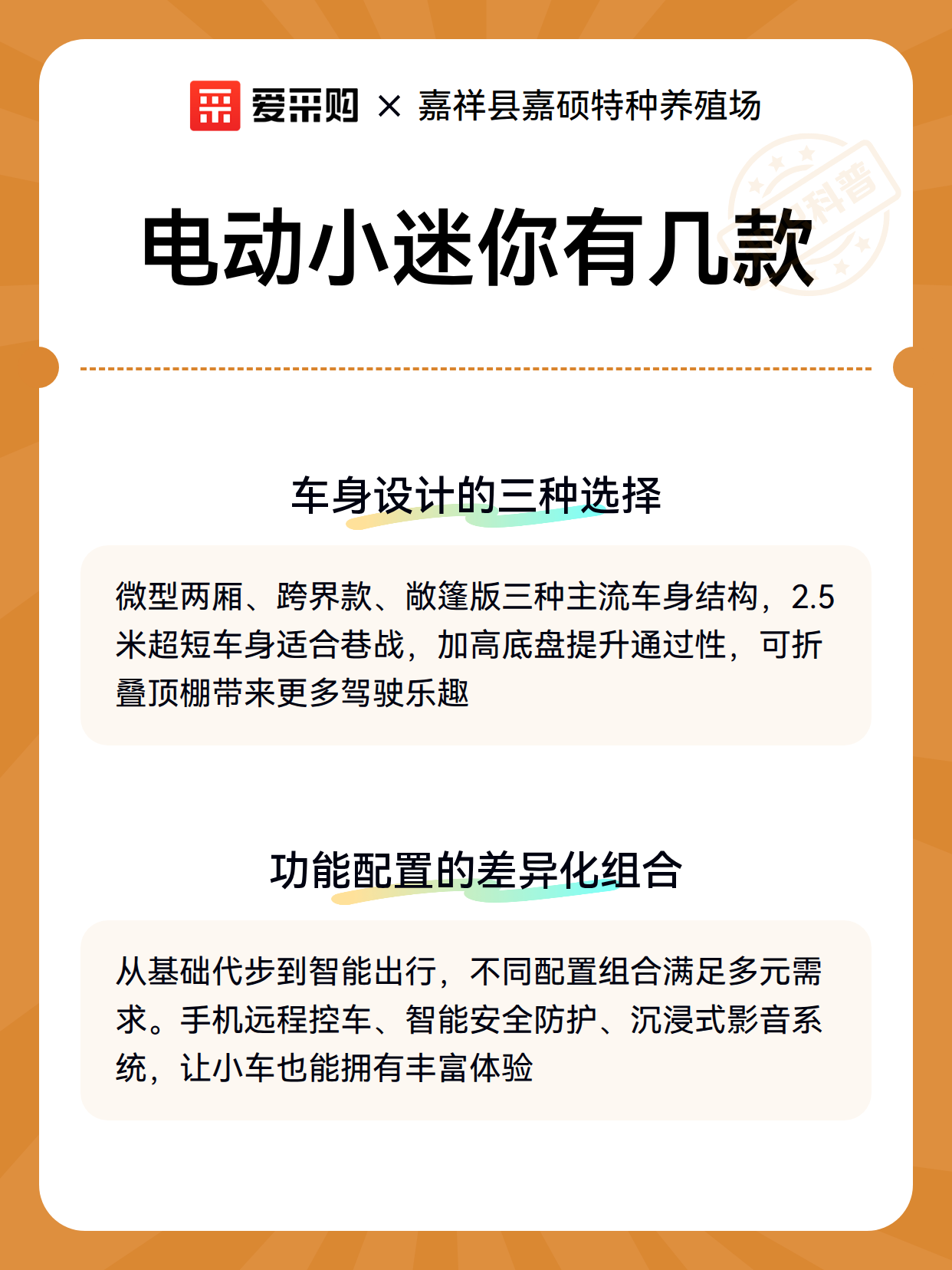 电动小迷你有几款（图3）