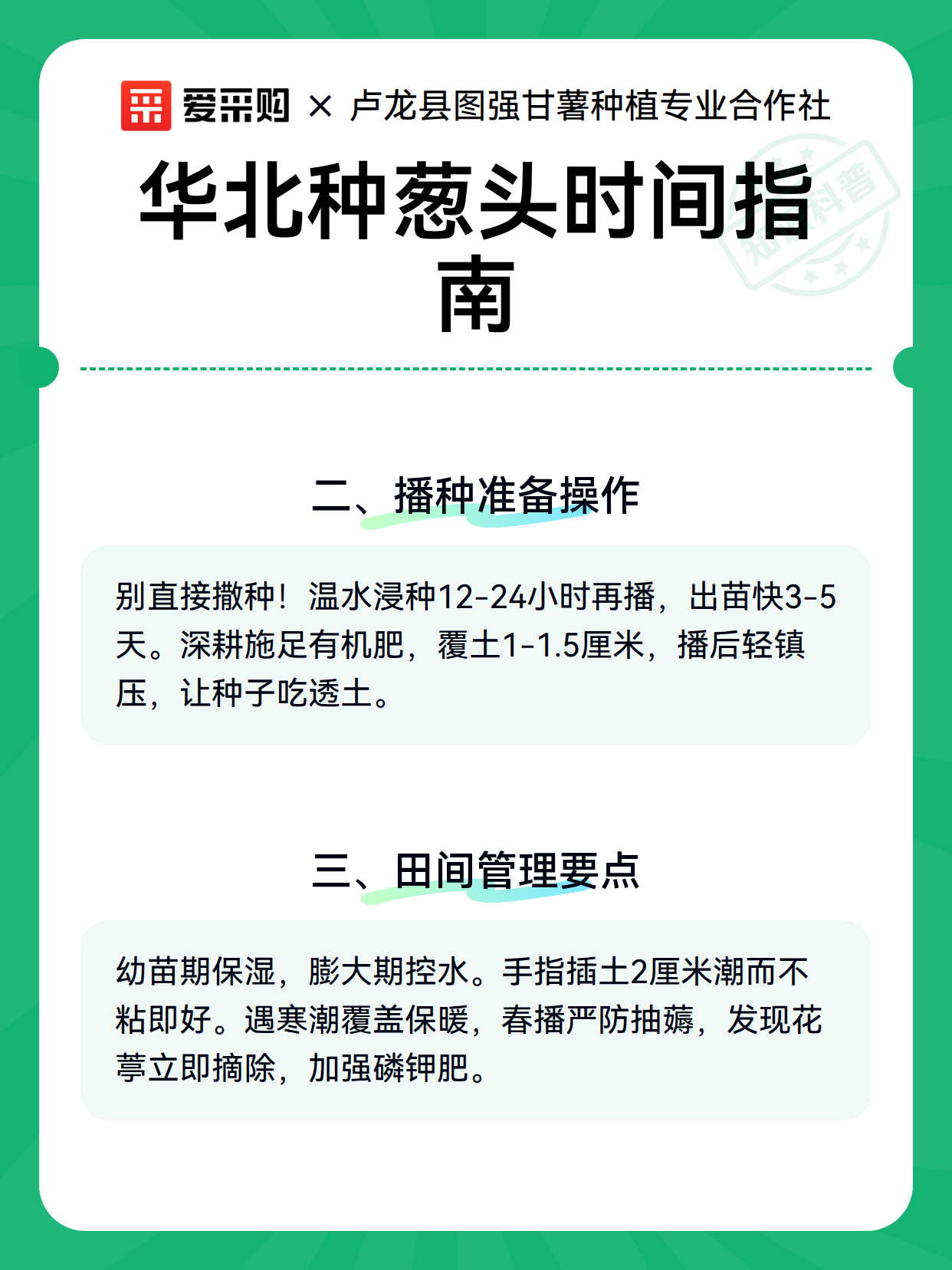 华北种葱头时间指南（图2）