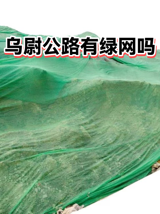 乌尉公路有绿网吗（图1）
