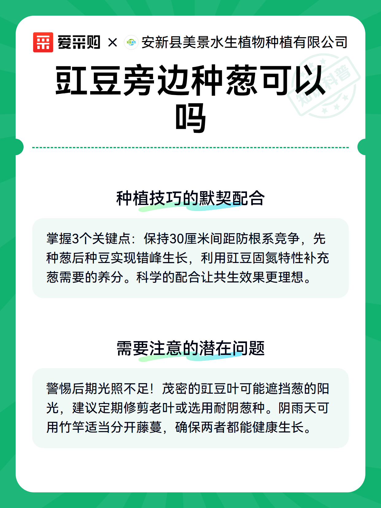 豇豆旁边种葱可以吗（图3）