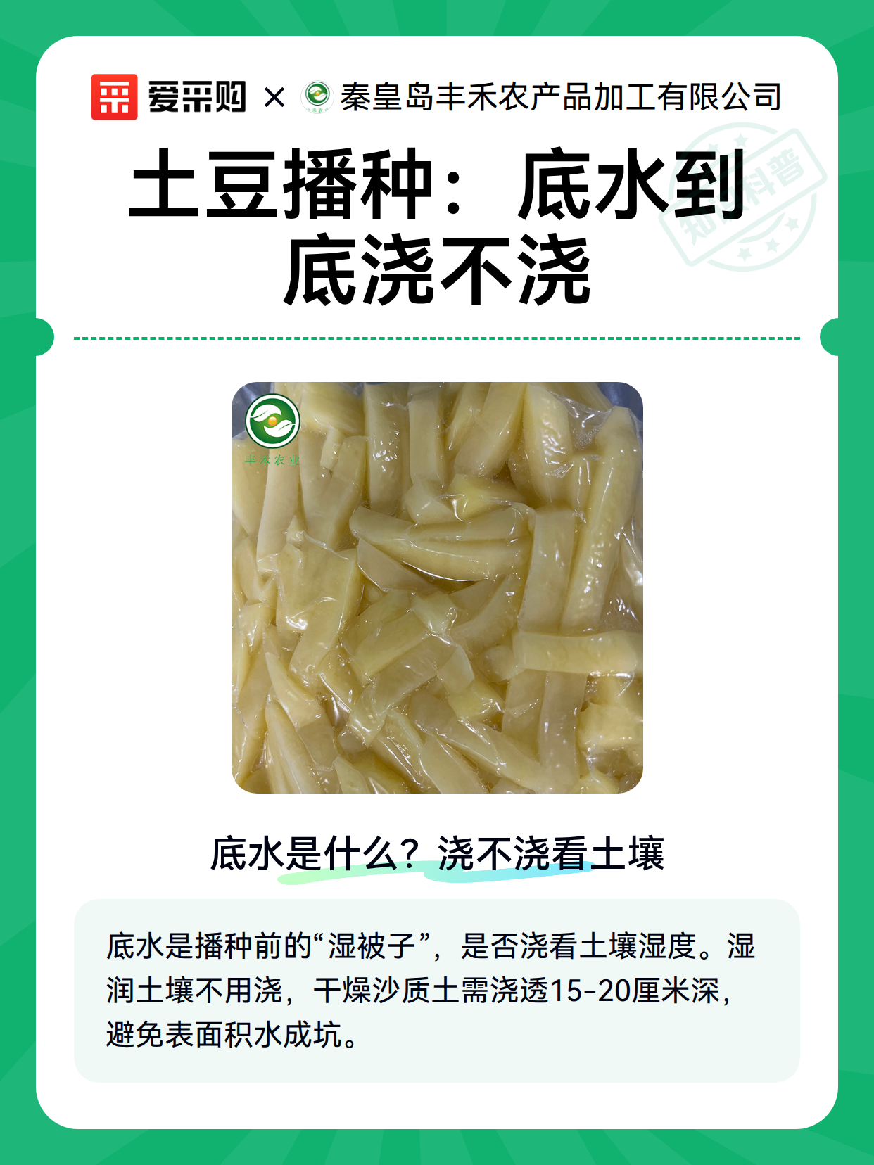土豆播种：底水到底浇不浇（图2）