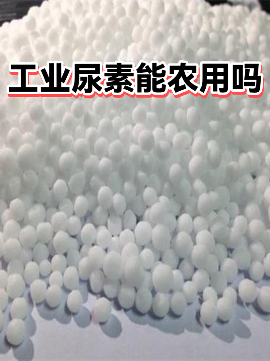 工业尿素能农用吗（图1）