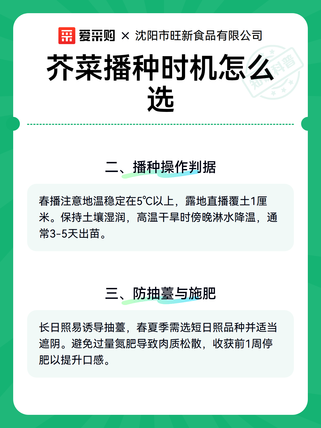 芥菜播种时机怎么选（图2）