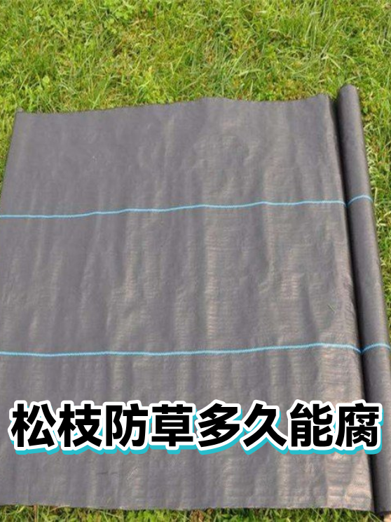 松枝防草多久能腐（图1）