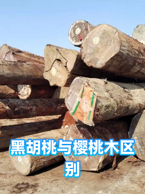 黑胡桃与樱桃木区别（图1）
