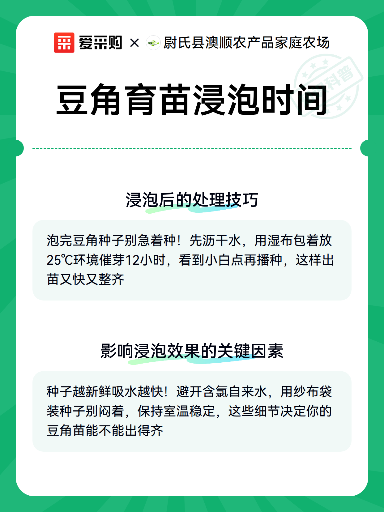 豆角育苗浸泡时间（图3）