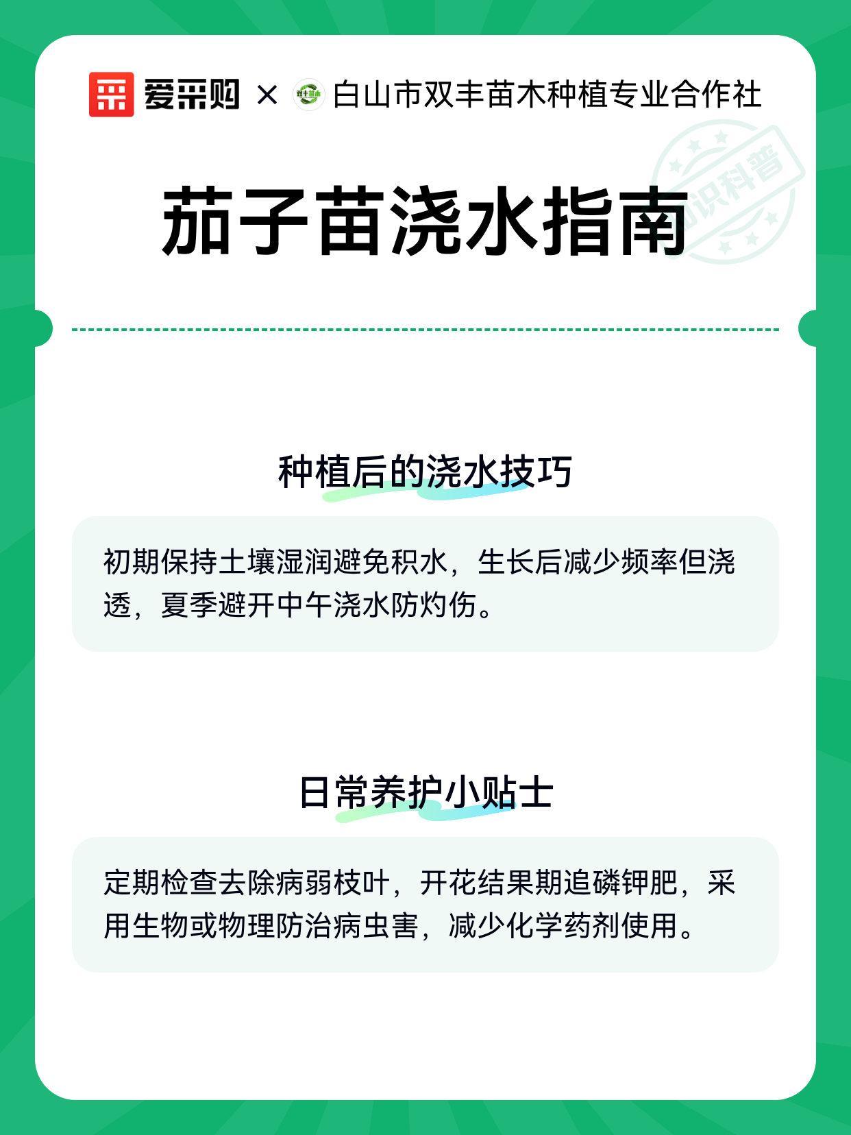 茄子苗浇水指南（图2）