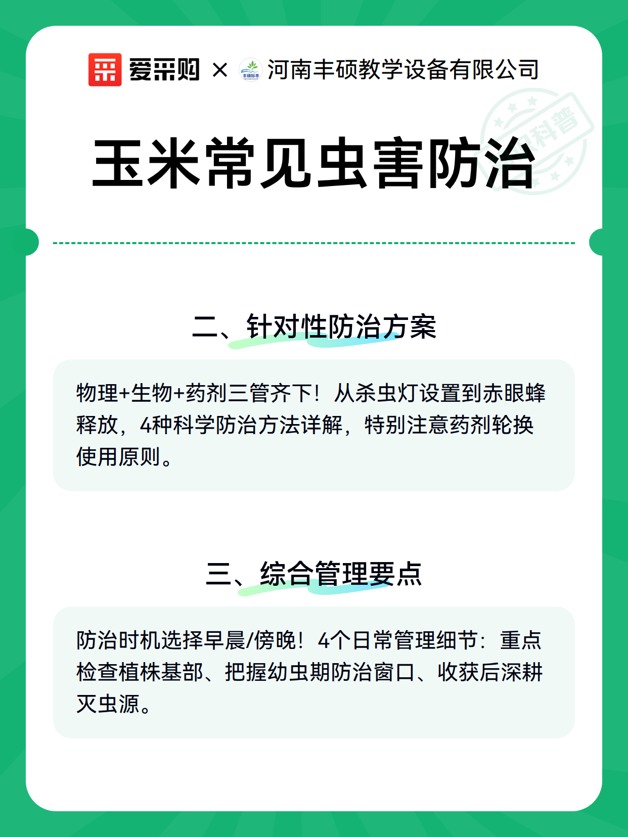 玉米常见虫害防治（图3）