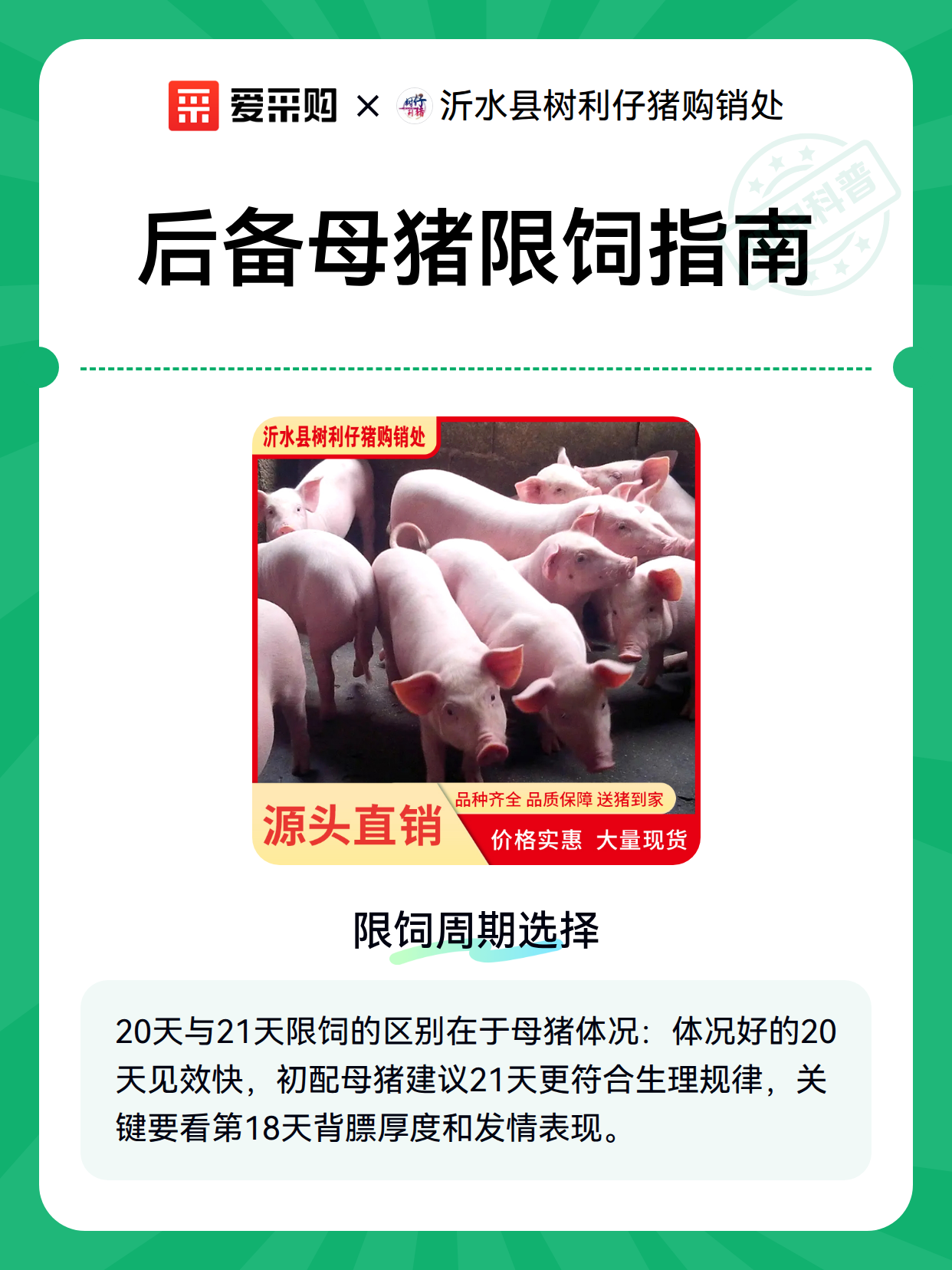 后备母猪限饲指南（图2）
