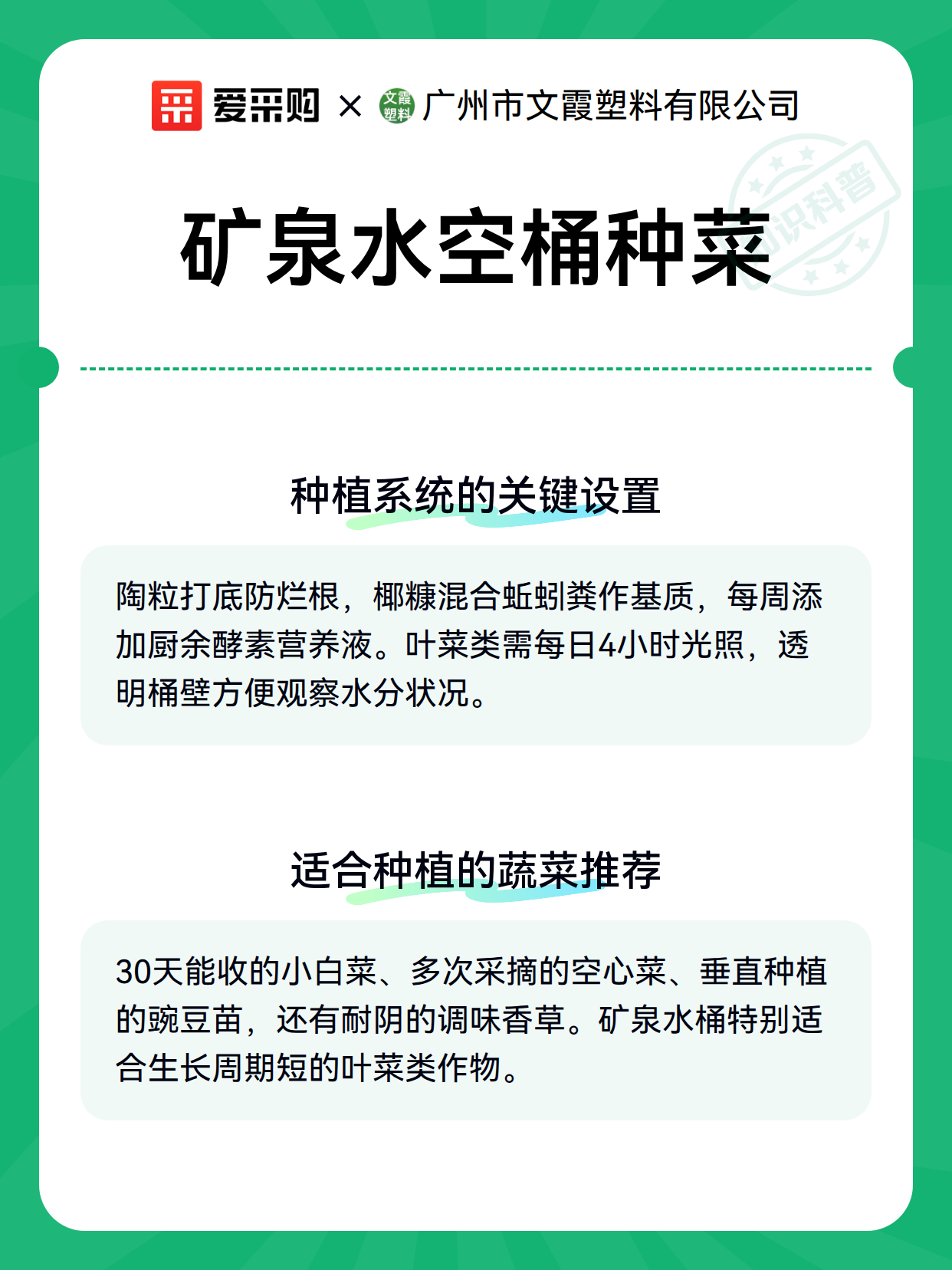 矿泉水空桶种菜（图2）