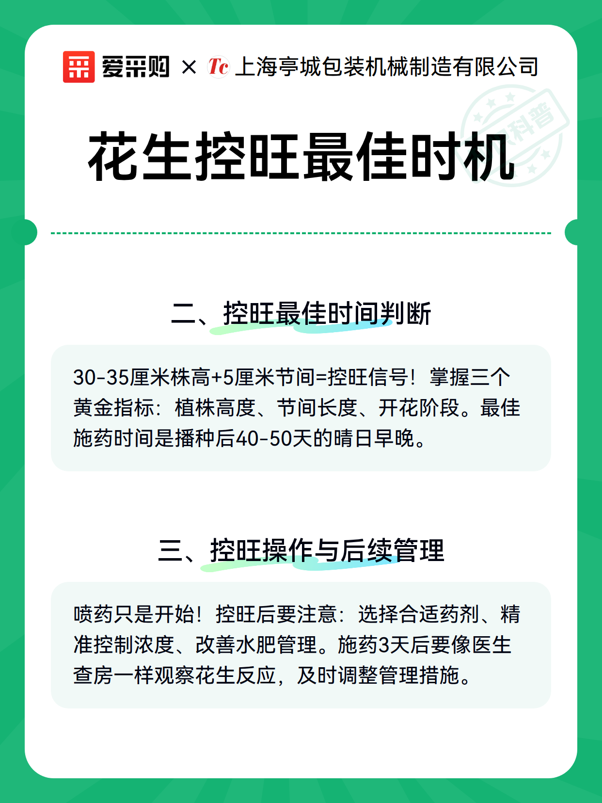花生控旺最佳时机（图2）
