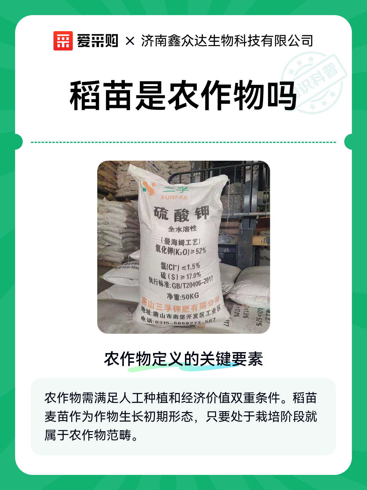稻苗是农作物吗（图1）