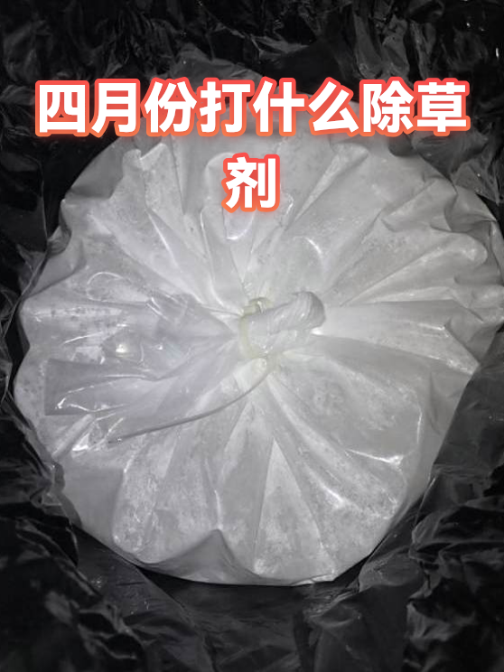 四月份打什么除草剂（图1）