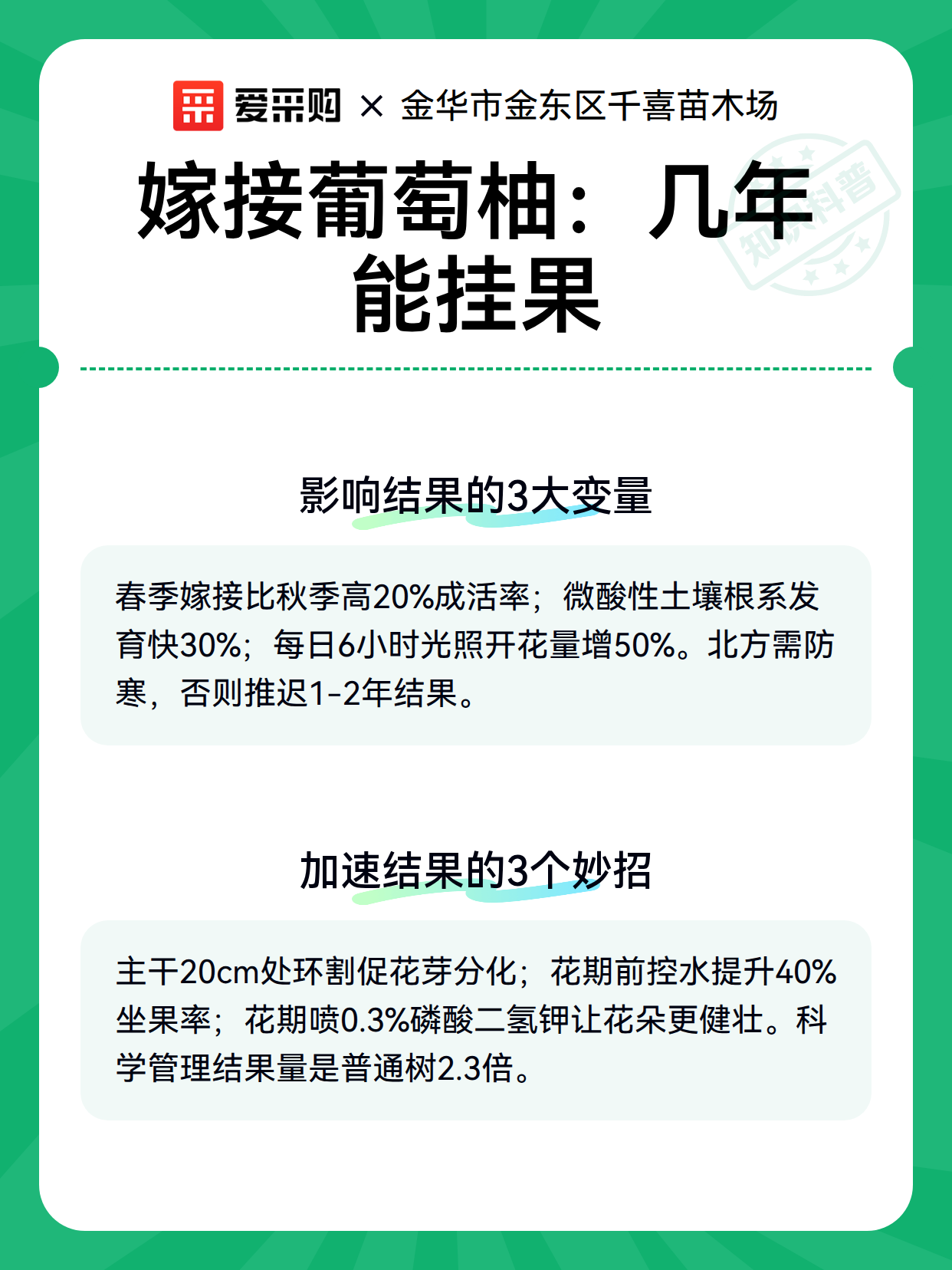 嫁接葡萄柚：几年能挂果（图2）