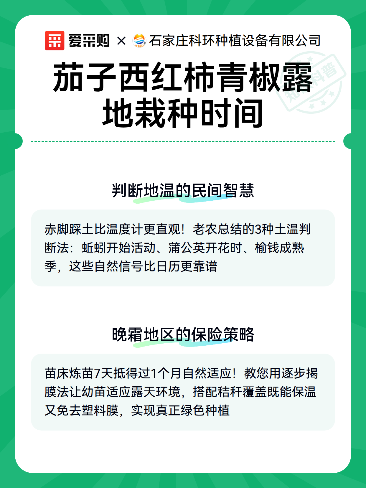 茄子西红柿青椒露地栽种时间（图3）