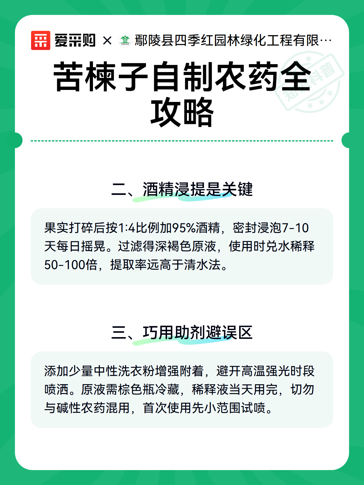 苦楝子自制农药全攻略（图3）