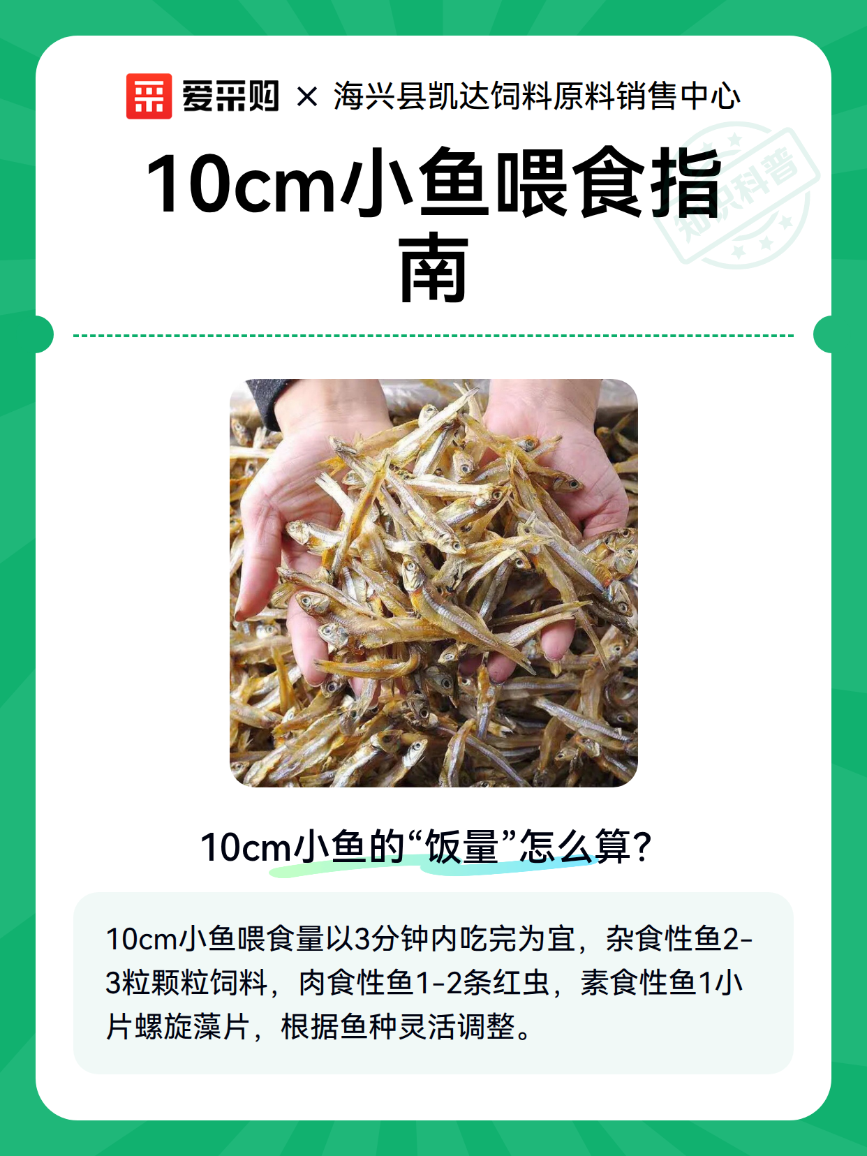 10cm小鱼喂食指南（图2）