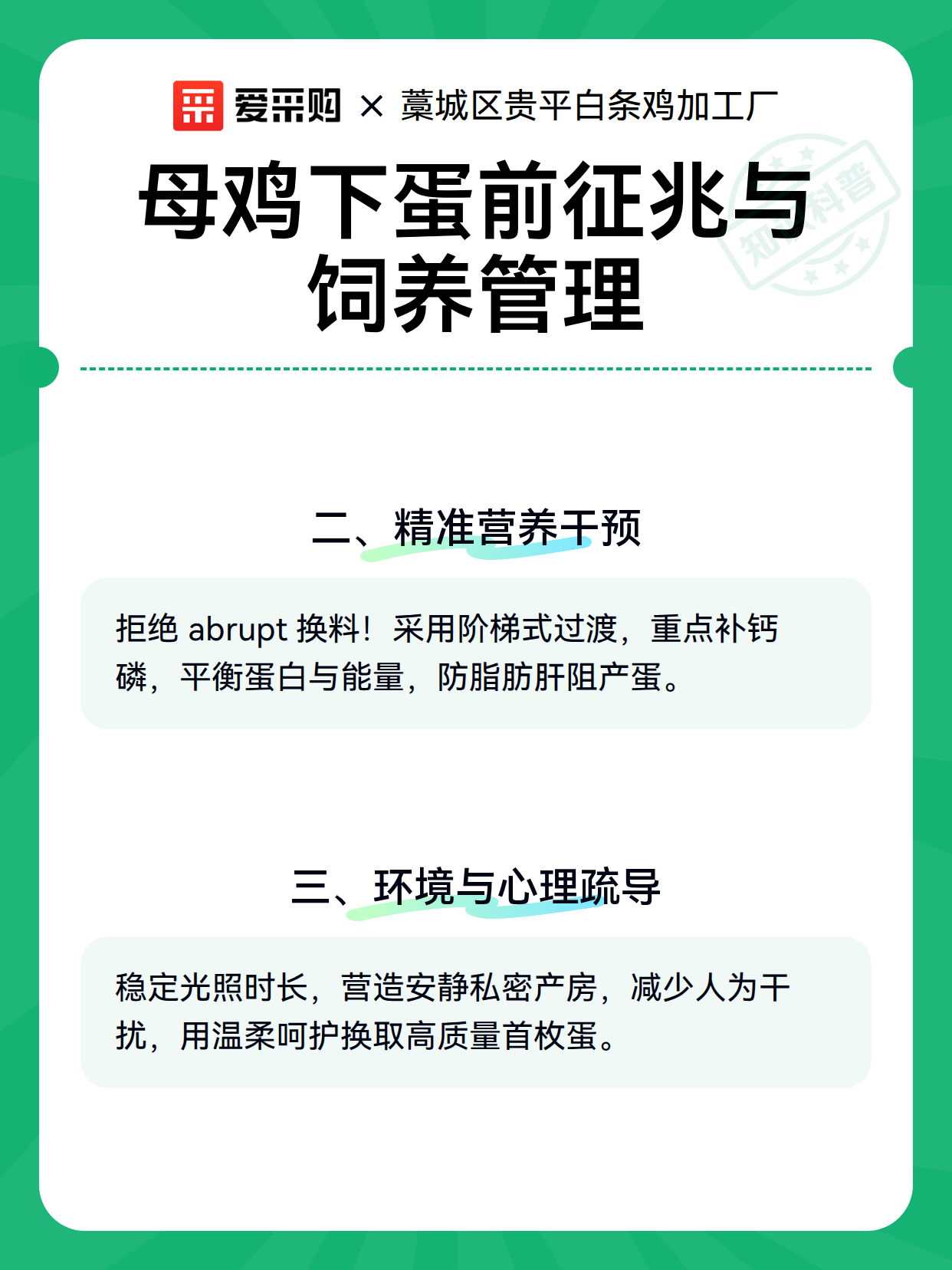 母鸡下蛋前征兆与饲养管理（图2）