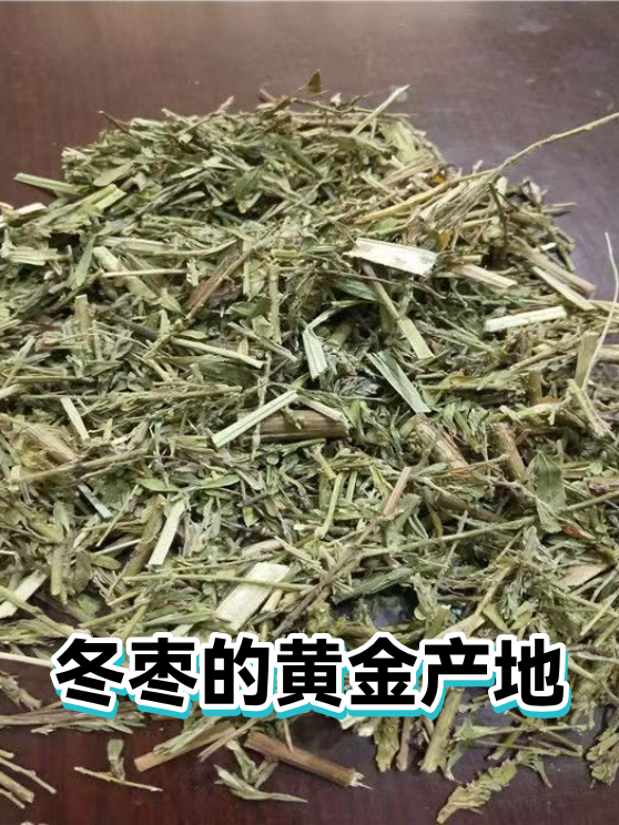 冬枣的黄金产地（图1）
