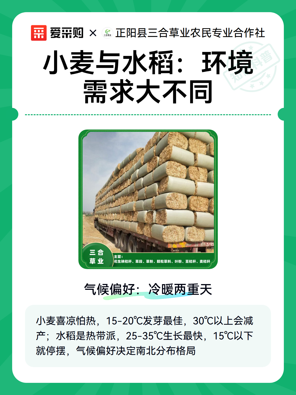 小麦与水稻：环境需求大不同（图2）