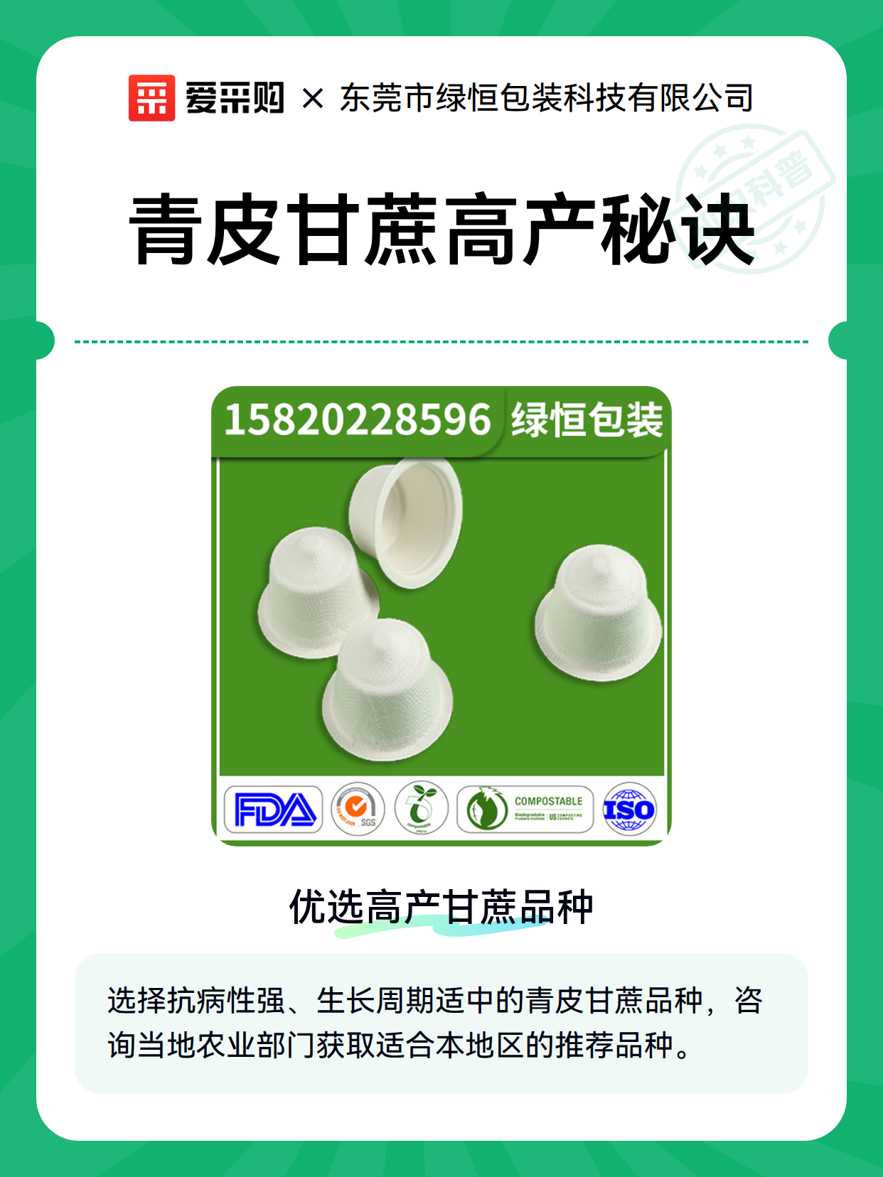 青皮甘蔗高产秘诀（图1）