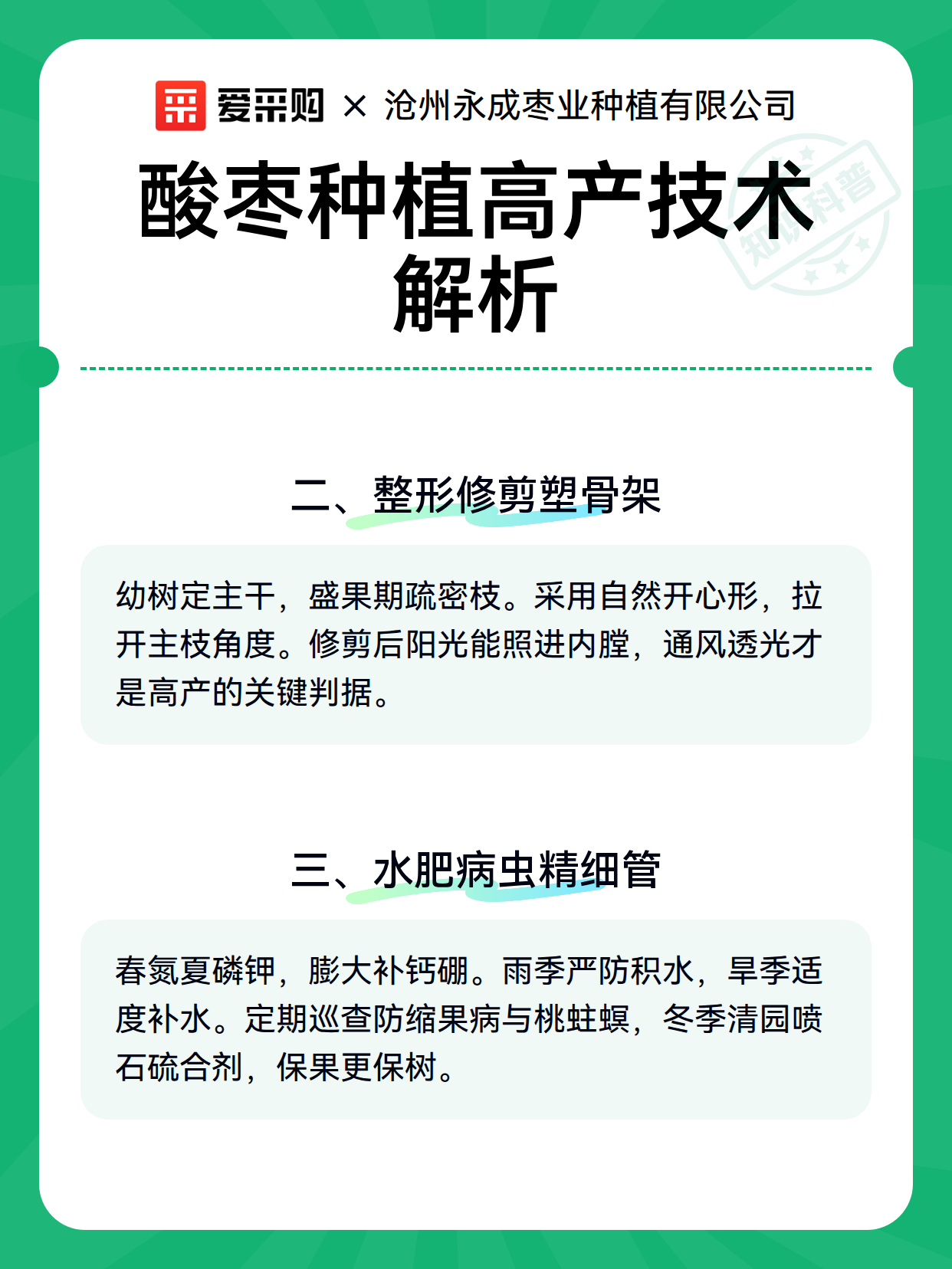 酸枣种植高产技术解析（图3）