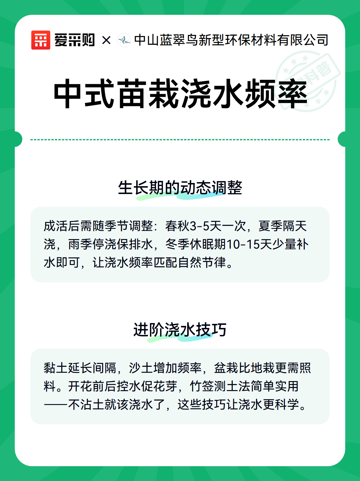 中式苗栽浇水频率（图2）
