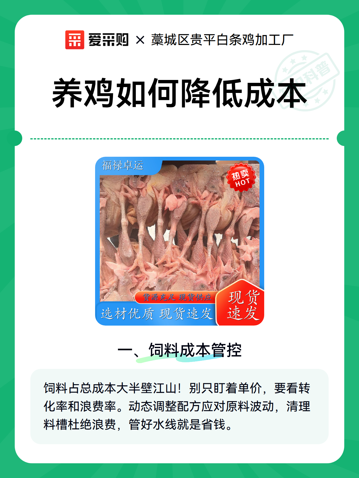养鸡如何降低成本（图1）