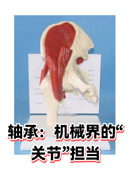 轴承：机械界的“关节”担当（图1）