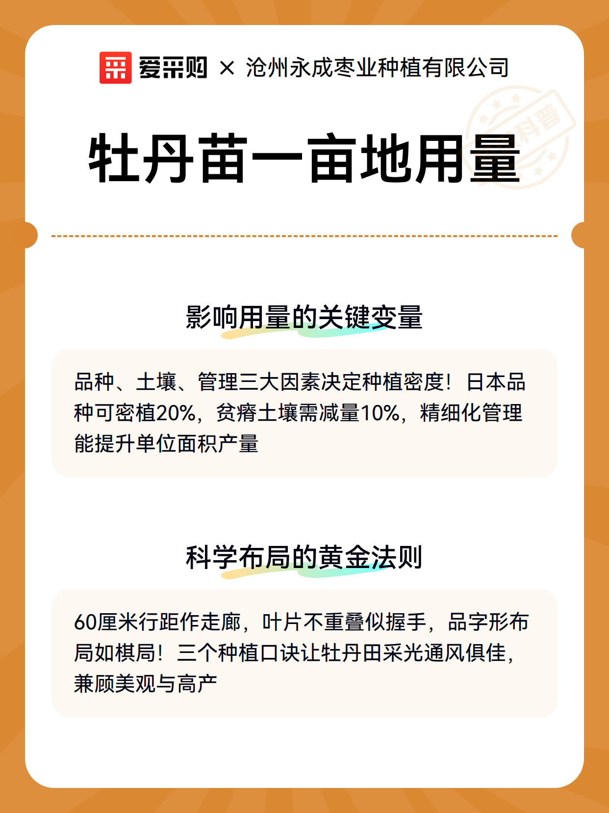 牡丹苗一亩地用量（图3）