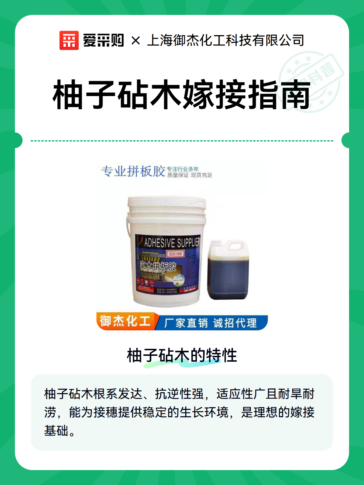 柚子砧木嫁接指南（图2）