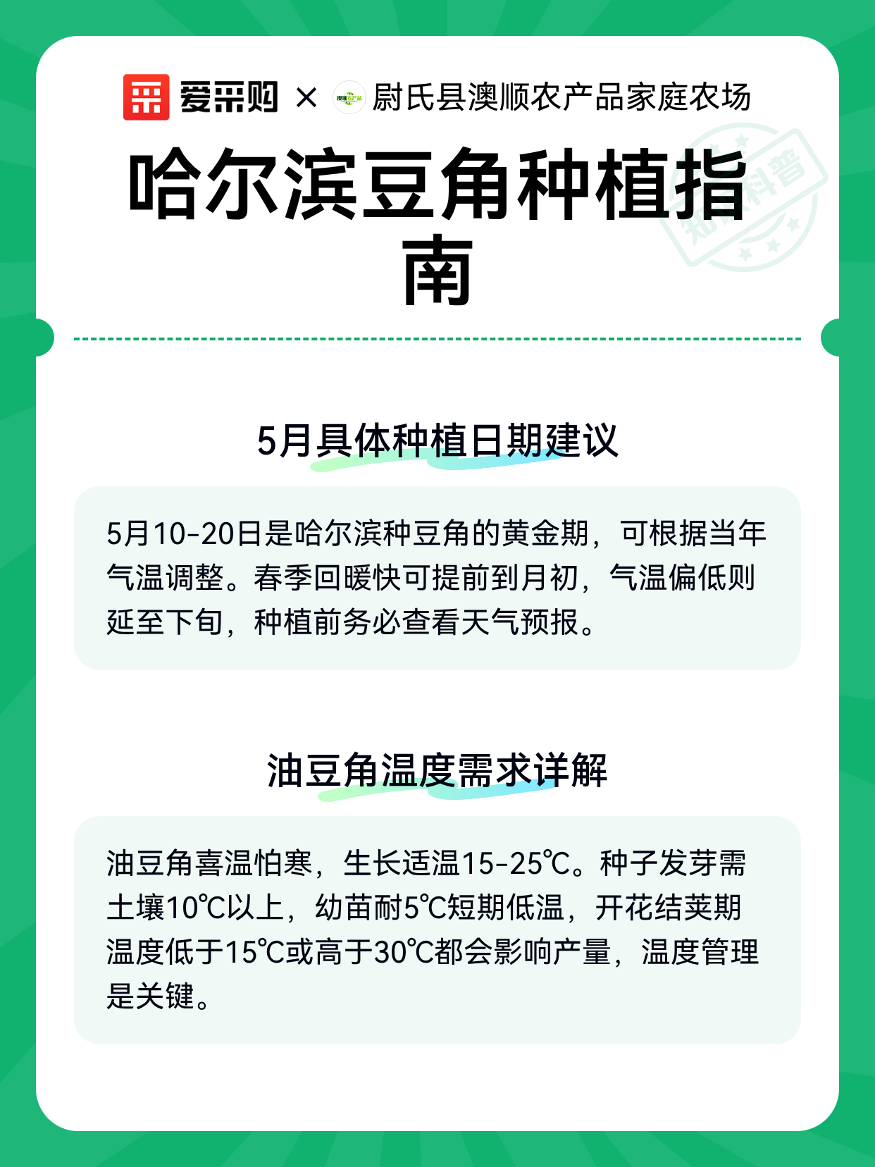 哈尔滨豆角种植指南（图2）